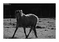 Copyrights © Fahad AlNassar.  All Rights are Reserved.