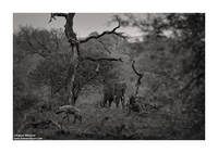 Copyrights © Fahad AlNassar.  All Rights are Reserved.
